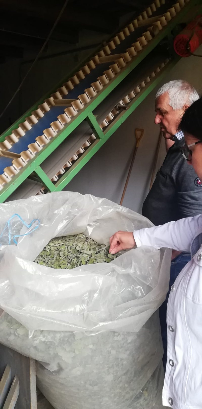 IMG-20230626-WA0018 (1)