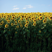 2: Heilbronner Becken