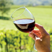 4: Schwäbisch-Fränkischer Wald