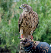 7: Wanderung Neckartal